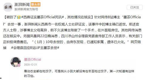 辞职通知书娱乐吃瓜酱